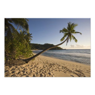 Seychellen, Mahe eiland, Anse Takamaka strand, Foto Afdruk