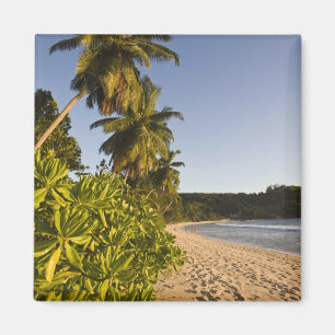 Seychellen, Mahe eiland, Anse Takamaka strand, Magneet