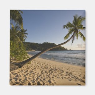 Seychellen, Mahe eiland, Anse Takamaka strand, Magneet