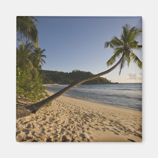 Seychellen, Mahe eiland, Anse Takamaka strand, Magneet (Voorkant)