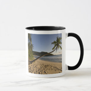 Seychellen, Mahe eiland, Anse Takamaka strand, Mok