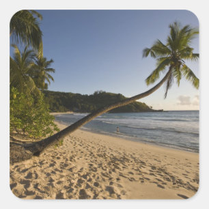 Seychellen, Mahe eiland, Anse Takamaka strand, Vierkante Sticker