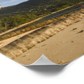 Seychellen, Mahe-eiland, horizontale palmboom, Poster (Hoek)