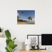 Seychellen, Mahe-eiland, horizontale palmboom, Poster (Thuiskantoor)