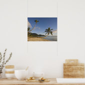 Seychellen, Mahe-eiland, horizontale palmboom, Poster (Keuken)