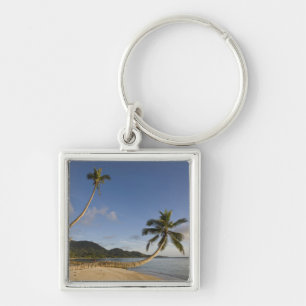 Seychellen, Mahe-eiland, horizontale palmboom, Sleutelhanger