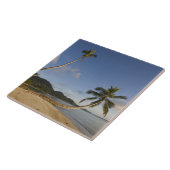 Seychellen, Mahe-eiland, horizontale palmboom, Tegeltje (Zijkant)
