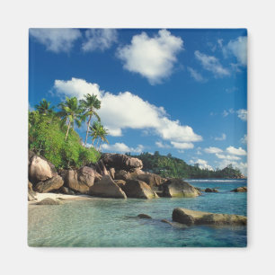 Seychellen, Mahe-eiland, Lazare-baai Magneet