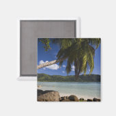 Seychellen, Mahe Island, Anse a la Mouche Magneet (Voorkant / Achterkant)