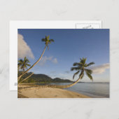 Seychellen, Mahe Island, horizontale palm Briefkaart (Voorkant / Achterkant)