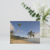 Seychellen, Mahe Island, horizontale palm Briefkaart (Staand voorkant)