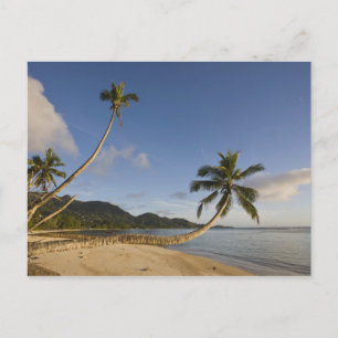 Seychellen, Mahe Island, horizontale palm Briefkaart