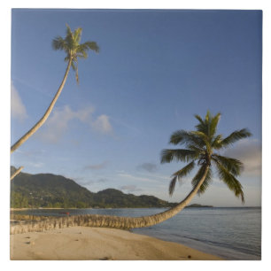 Seychellen, Mahe Island, horizontale palm, Tegeltje