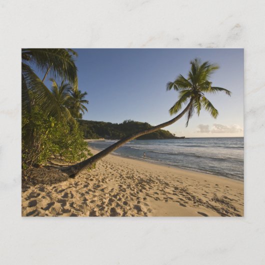 Seychellen, Mahe Island, strand van Anse Takamaka, Briefkaart (Voorkant)