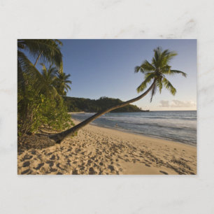Seychellen, Mahe Island, strand van Anse Takamaka, Briefkaart