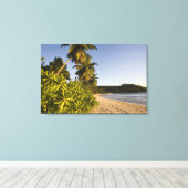Seychellen, Mahe Island, strand van Anse Takamaka, Canvas Afdruk (Insitu (Houten vloer))