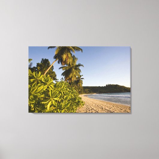 Seychellen, Mahe Island, strand van Anse Takamaka, Canvas Afdruk (Voorkant)