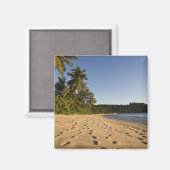 Seychellen, Mahe Island, strand van Anse Takamaka, Magneet (Voorkant / Achterkant)