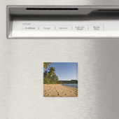 Seychellen, Mahe Island, strand van Anse Takamaka, Magneet (Insitu (Vaatwasser))