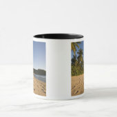 Seychellen, Mahe Island, strand van Anse Takamaka, Mok (Midden)