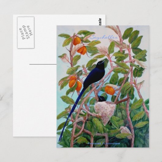 Seychellen Paradise Flycatcher Briefkaart (Voorkant / Achterkant)