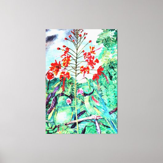 Seychellen Paraket, Psittacula wardi Canvas Afdruk (Voorkant)