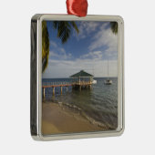 Seychellen, Praslin, Anse Bois de Roos, Metalen Ornament (Rechts)