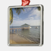 Seychellen, Praslin, Anse Bois de Roos, Metalen Ornament (Links)