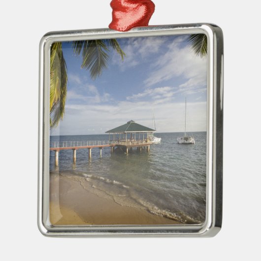 Seychellen, Praslin, Anse Bois de Roos, Metalen Ornament (Links)