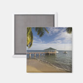 Seychellen, Praslin-eiland, Anse Bois de Rose, Magneet (Voorkant / Achterkant)