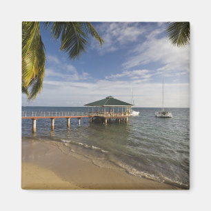 Seychellen, Praslin-eiland, Anse Bois de Rose, Magneet