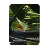 Seychellen, Praslin, Vallee de Mai, Heavy Rain Magneet (Verticaal)