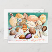 Seychelles Cowrie Shells Briefkaart (Voorkant / Achterkant)