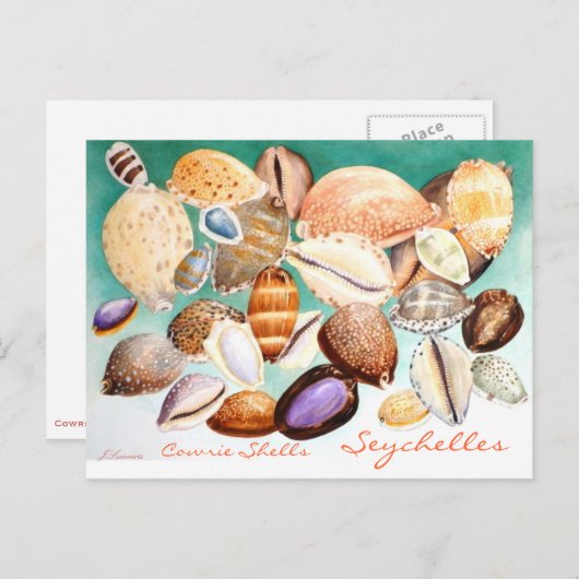 Seychelles Cowrie Shells Briefkaart (Voorkant / Achterkant)