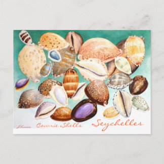 Seychelles Cowrie Shells Briefkaart