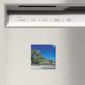 Seychelles, Mahe eiland, Anse Royale strand. 2 Magneet (Insitu (Vaatwasser))