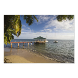 Seychelles, Praslin-eiland, Anse Bois de Rose, Foto Afdruk