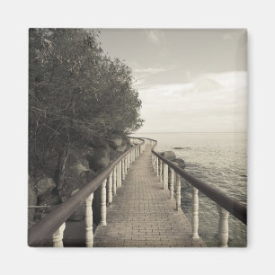 Seychelles, Praslin-eiland, Anse Bois de Rose, Magneet