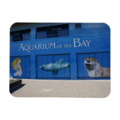 SF Aquarium van de Bay Magnet Magneet (Horizontaal)