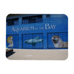 SF Aquarium van de Bay Magnet Magneet