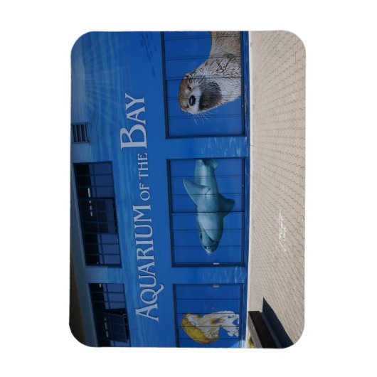 SF Aquarium van de Bay Magnet Magneet (Verticaal)