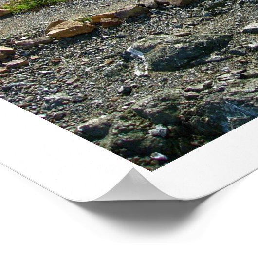 SF Bay Area Poster (Hoek)