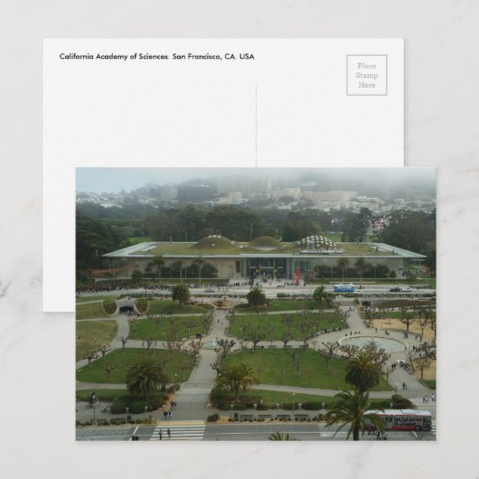 SF California Academy of Sciences Briefkaart (Voorkant / Achterkant)