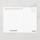 SF California Academy of Sciences Briefkaart (Achterkant)