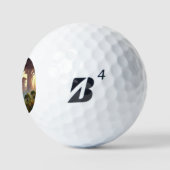 SF City Forest Planet (1) Golfballen (Logo)