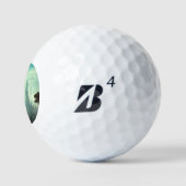 SF City Forest Planet (3) Golfballen (Logo)
