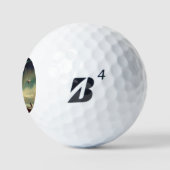 SF Deense Meesters (2) Golfballen (Logo)