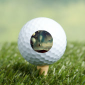 SF Deense Meesters (2) Golfballen (Insitu Shirt)