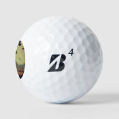 SF Deense Meesters (3) Golfballen (Logo)