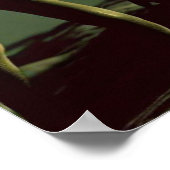 SF Grijze Aliens 2 Poster (Hoek)